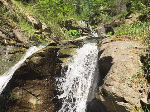 Evelyn Falls Trail-Anglemont必去景点