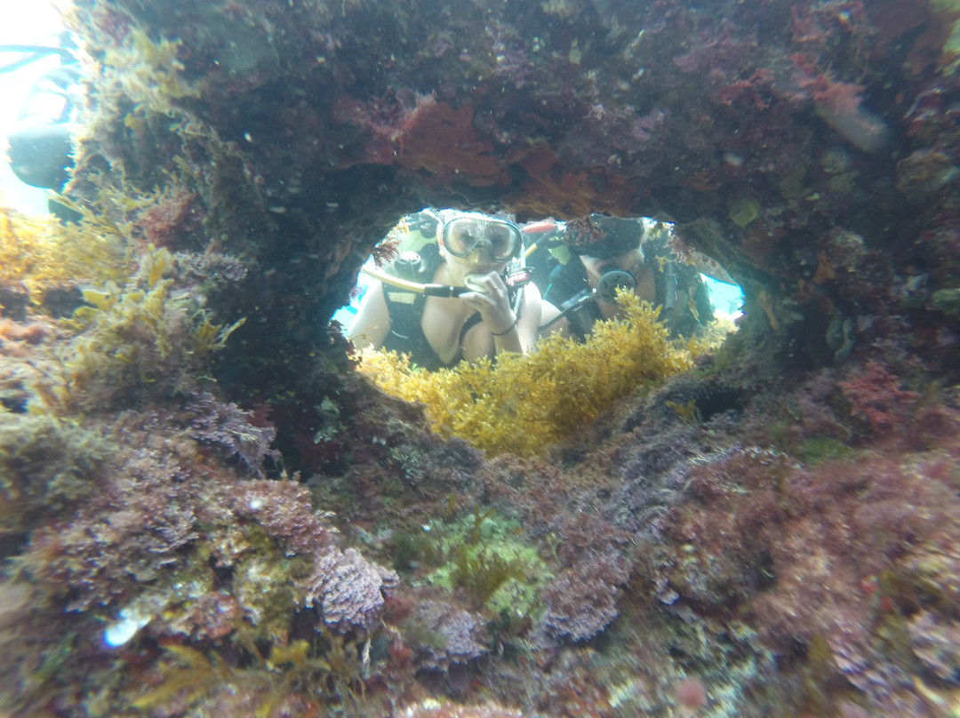Rosa dei Venti - Diving Center-巴勒莫必去景点