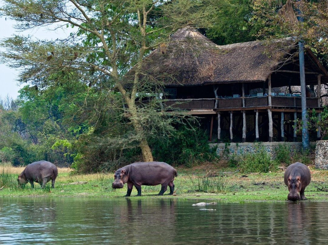 Mvuu Lodge Malawi
