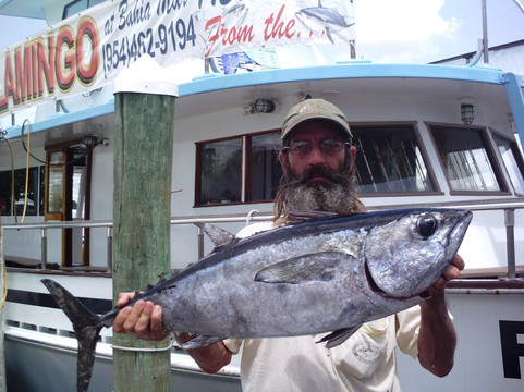 The Flamingo-劳德代尔堡必去景点