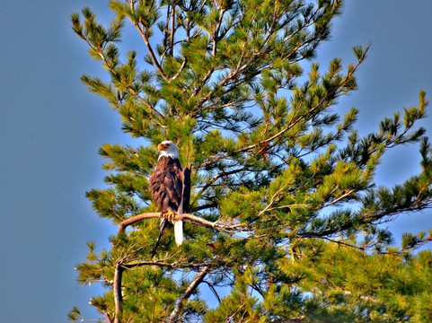 山湖贝斯特韦斯特酒店主图