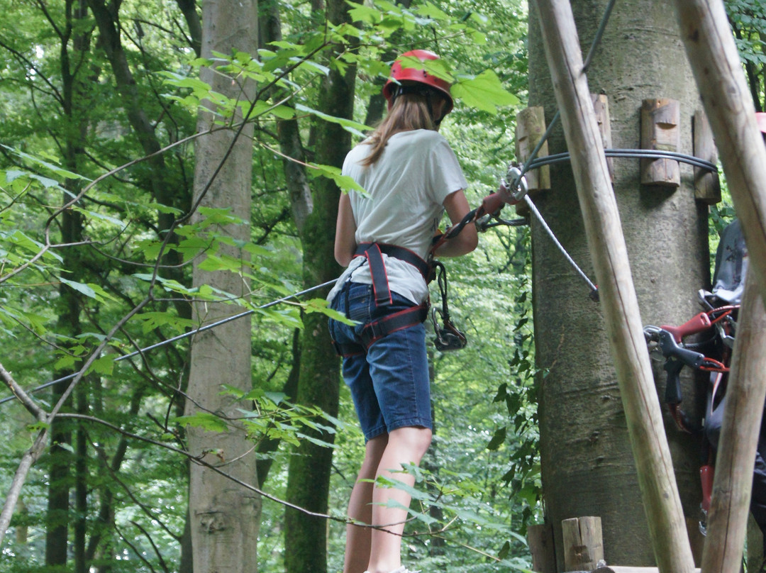 Abenteuer im Wald-Kenzingen必去景点