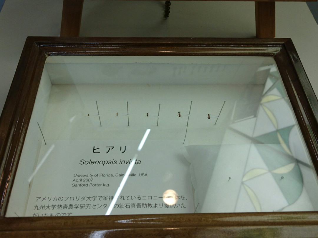 Kishiwada Nature Musium-岸和田市必去景点