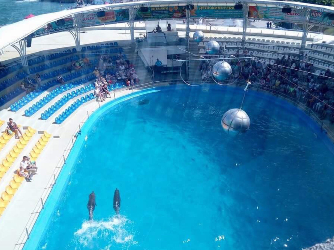 NEMO Hotel Resort & SPA主图