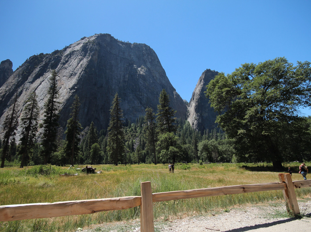 Cathedral Rocks and Spires-优胜美地国家公园必去景点
