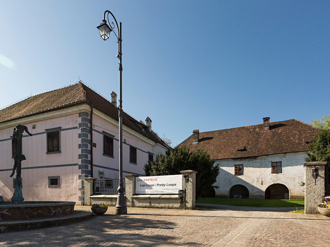 TIC Tourist Information Centre Kostanjevica na Krki景点图片