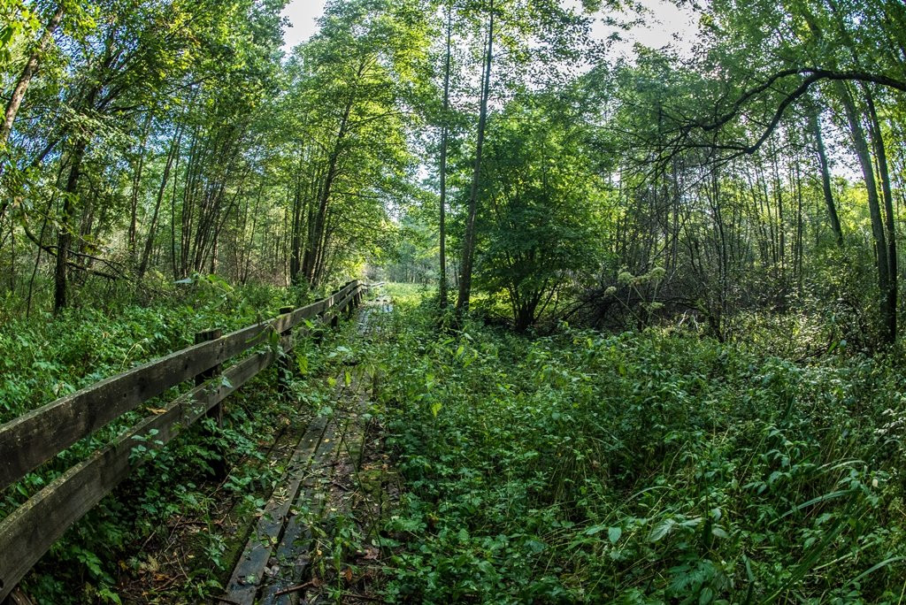 Nemunas River Delta Regional Park-Silute必去景点