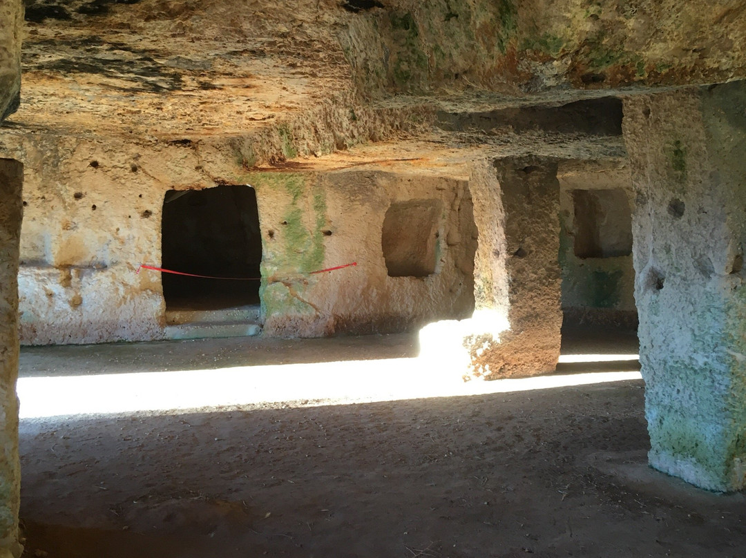 Masseria Ottava Grande景点图片