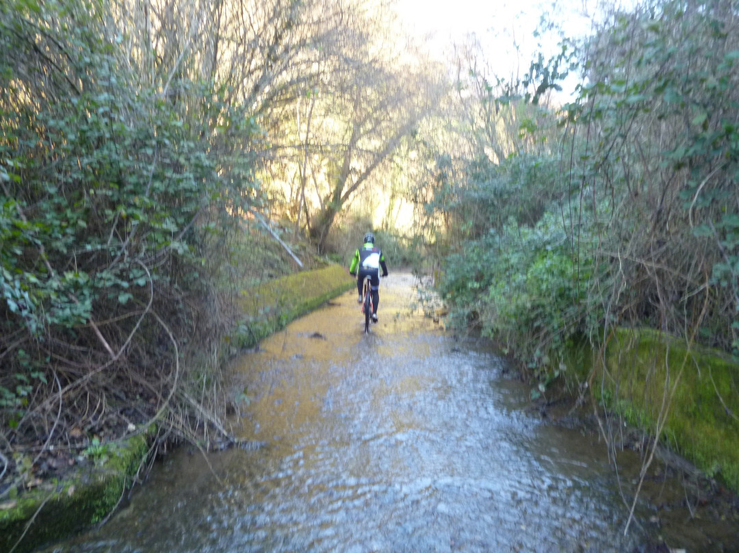 Sterrando Bike-布拉恰诺必去景点