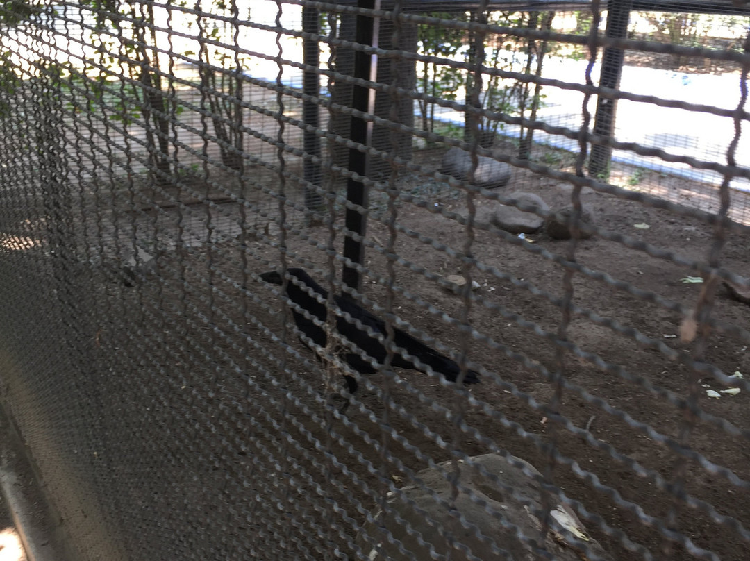 Parque Agua Azul-瓜达拉哈拉必去景点