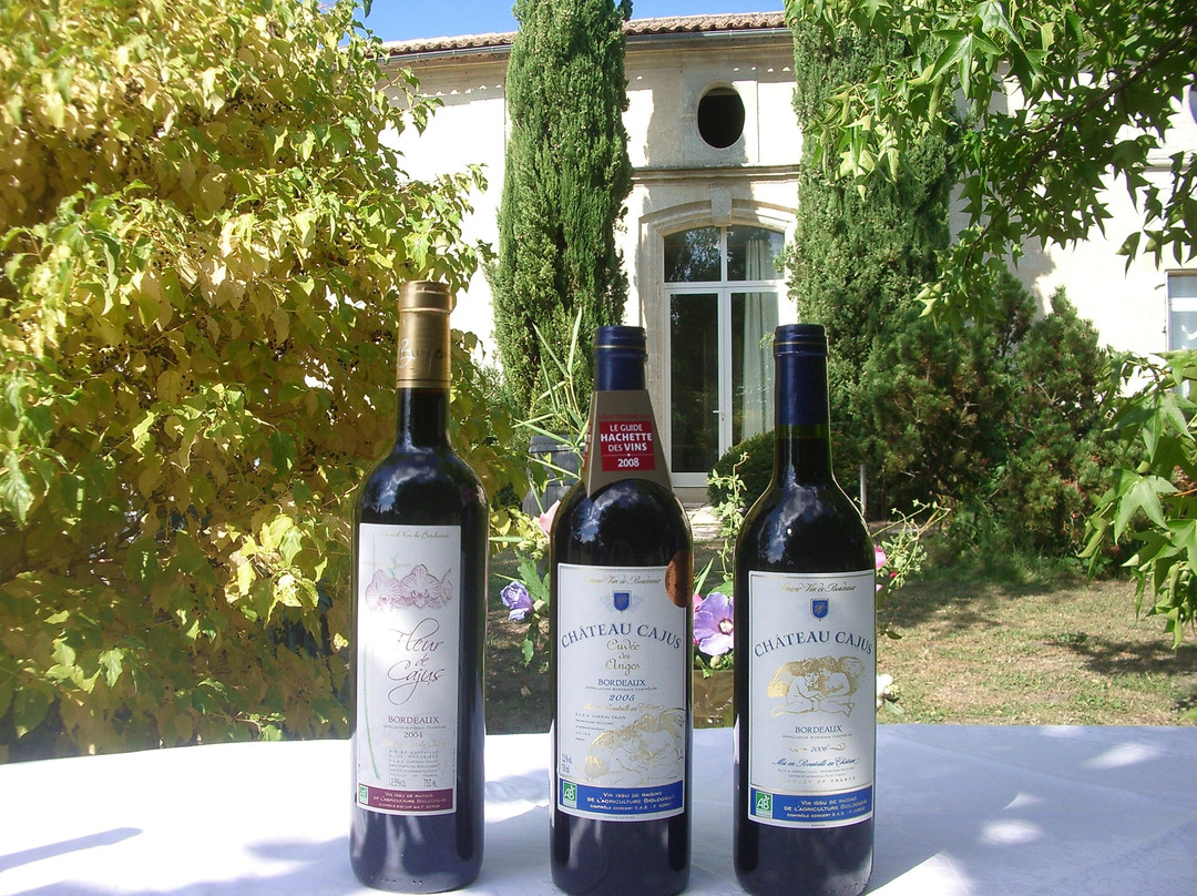 Château Cajus主图