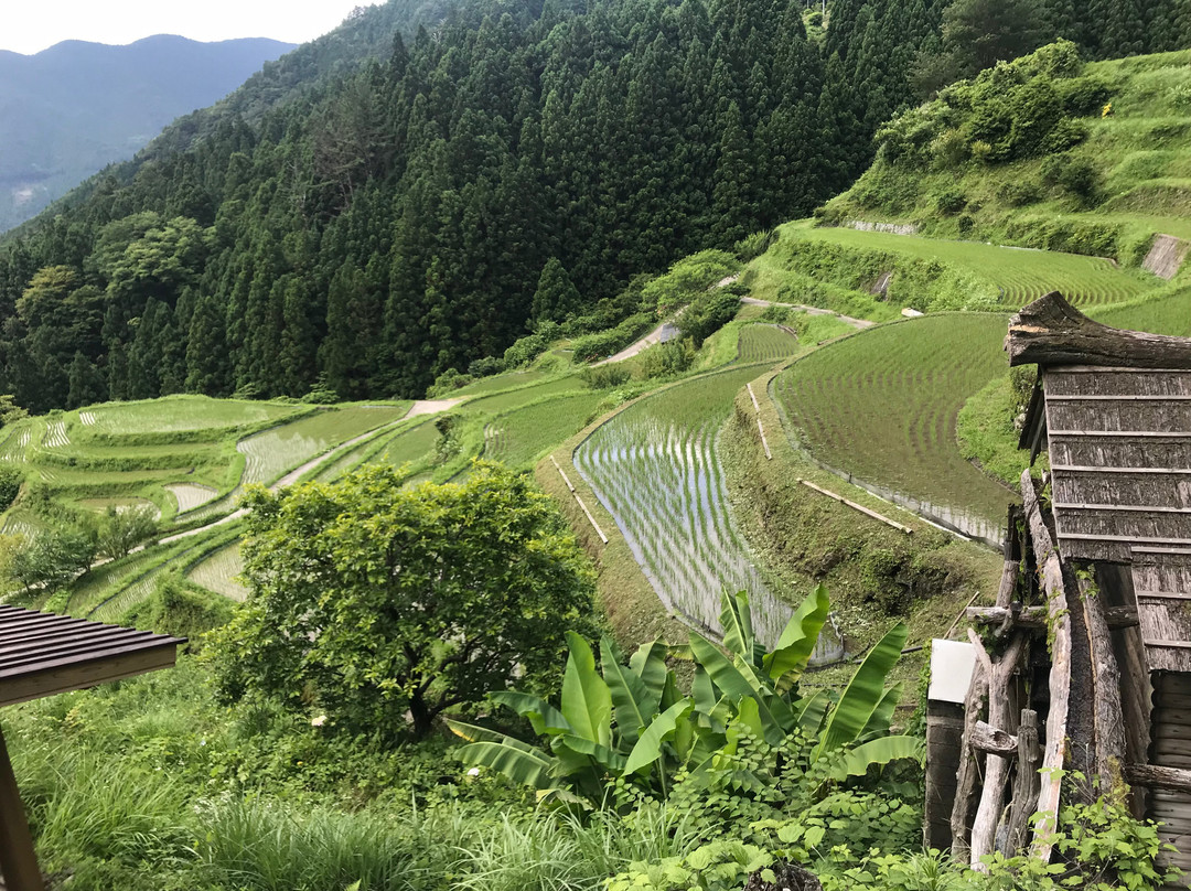 Kashihara Rice Terraces-上胜町必去景点