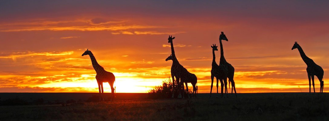 Escursioni in Kenya-瓦塔木必去景点