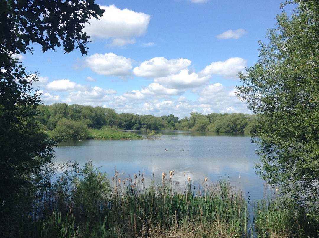 Loddon Nature Reserve-Twyford必去景点