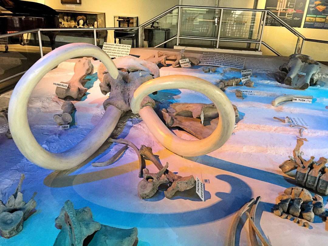 Humboldt Museum-温尼马卡必去景点