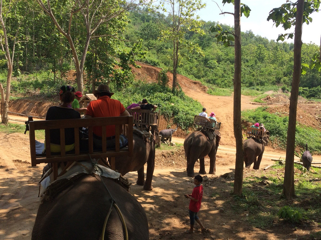 Elephant Riding at Elephant Village-Molagoda必去景点
