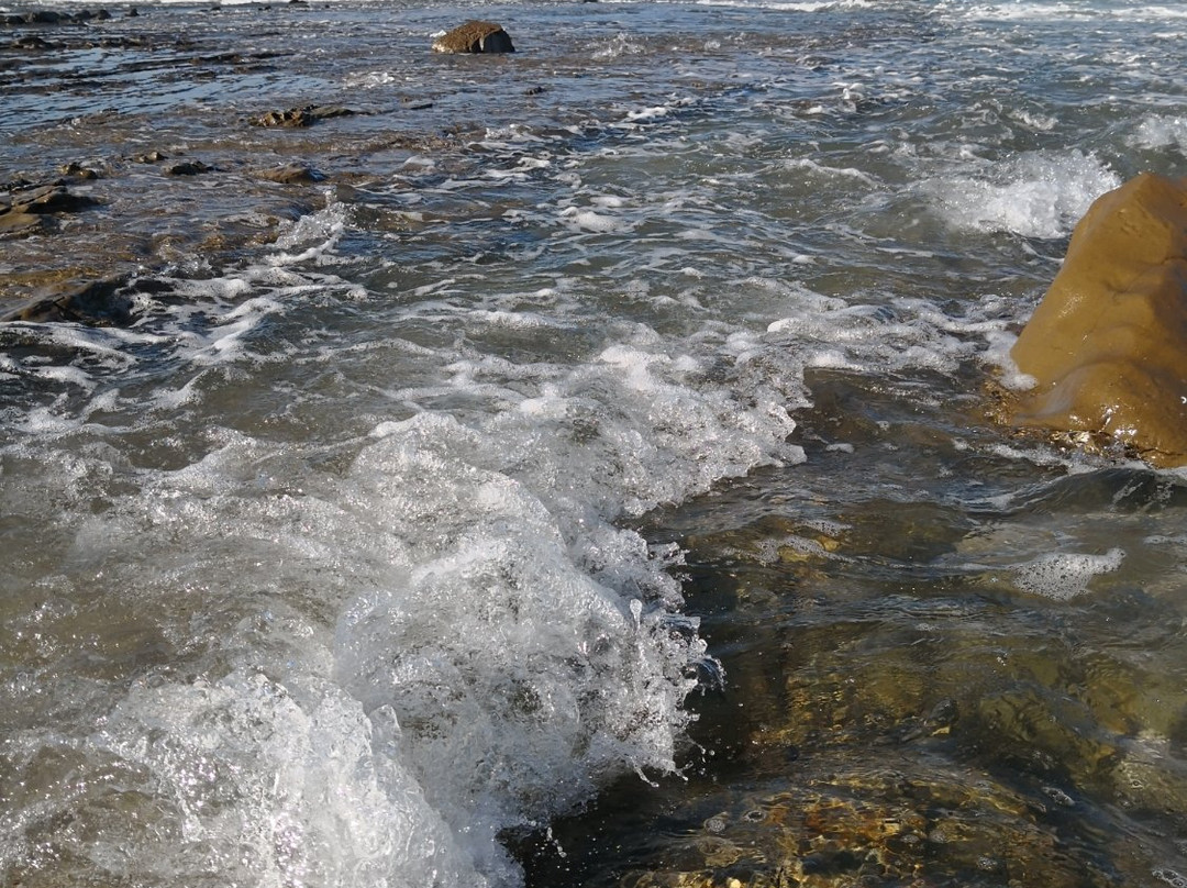 Shelly Beach-洛恩必去景点