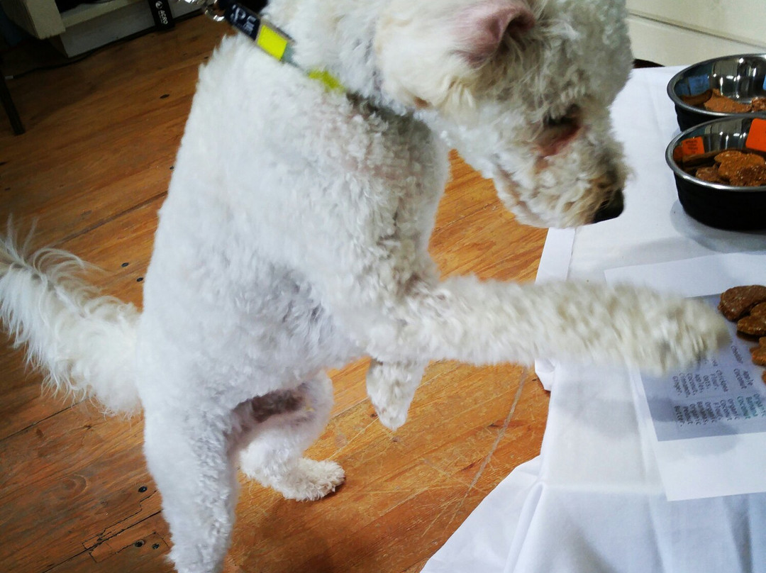 Spoil The Dog Bakery景点图片