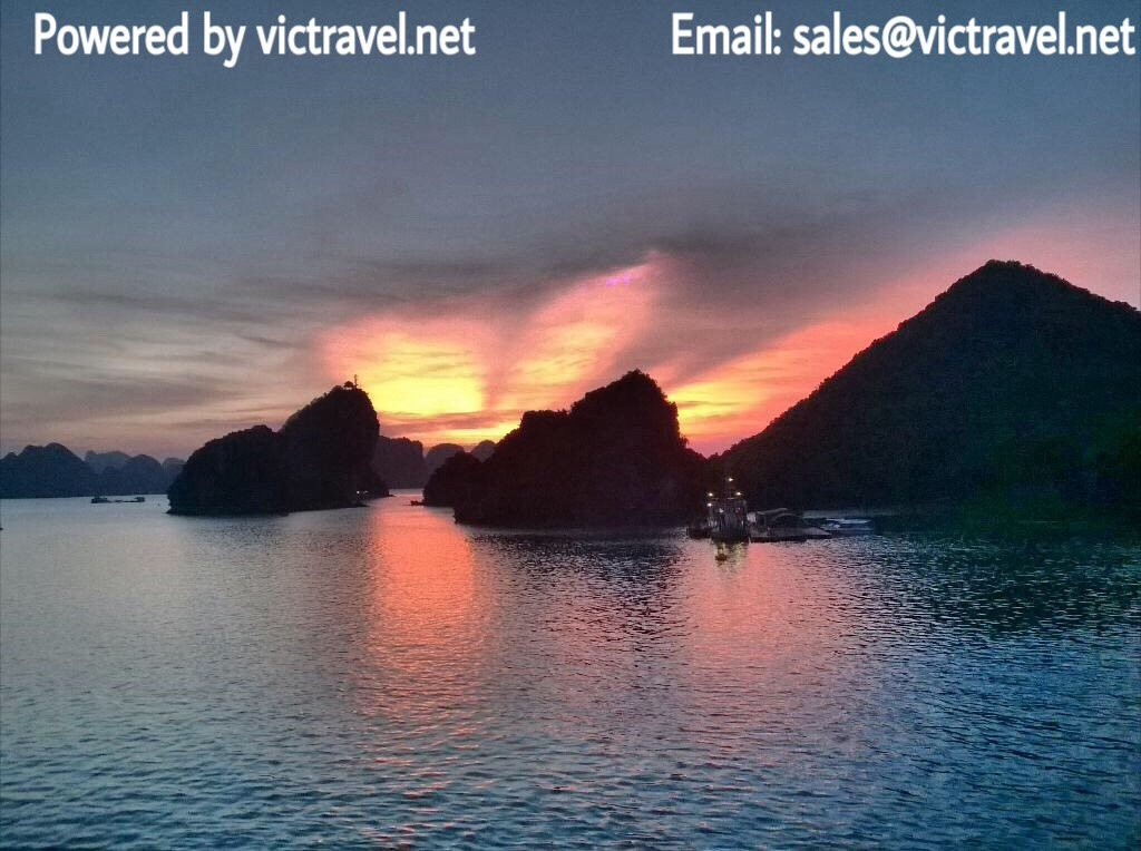 Vic Travel-宁平必去景点