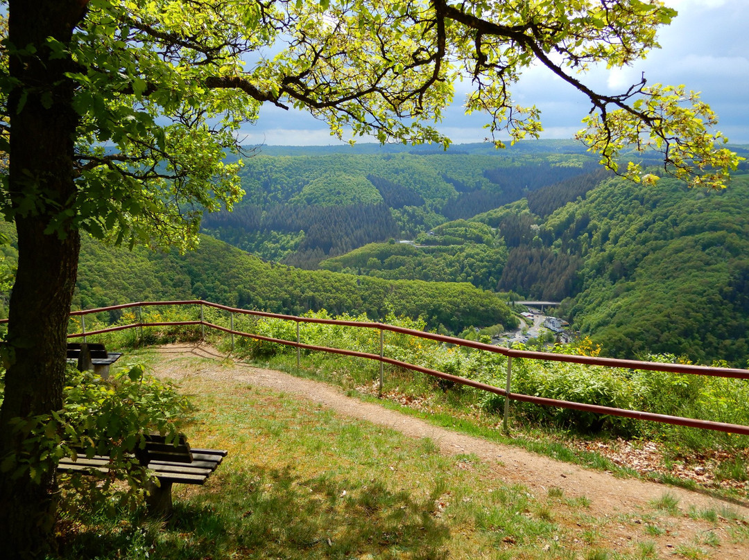 Hotel Alte Muhle主图