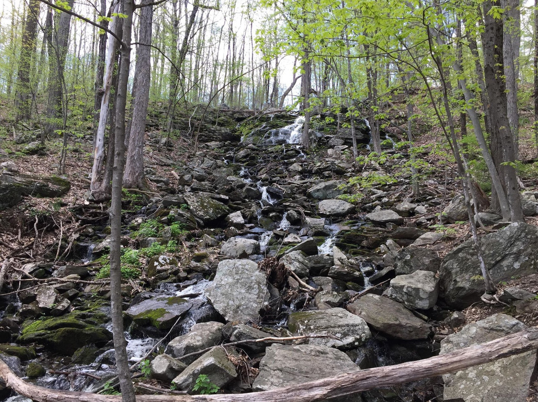 Cascading Waters-伍斯特必去景点