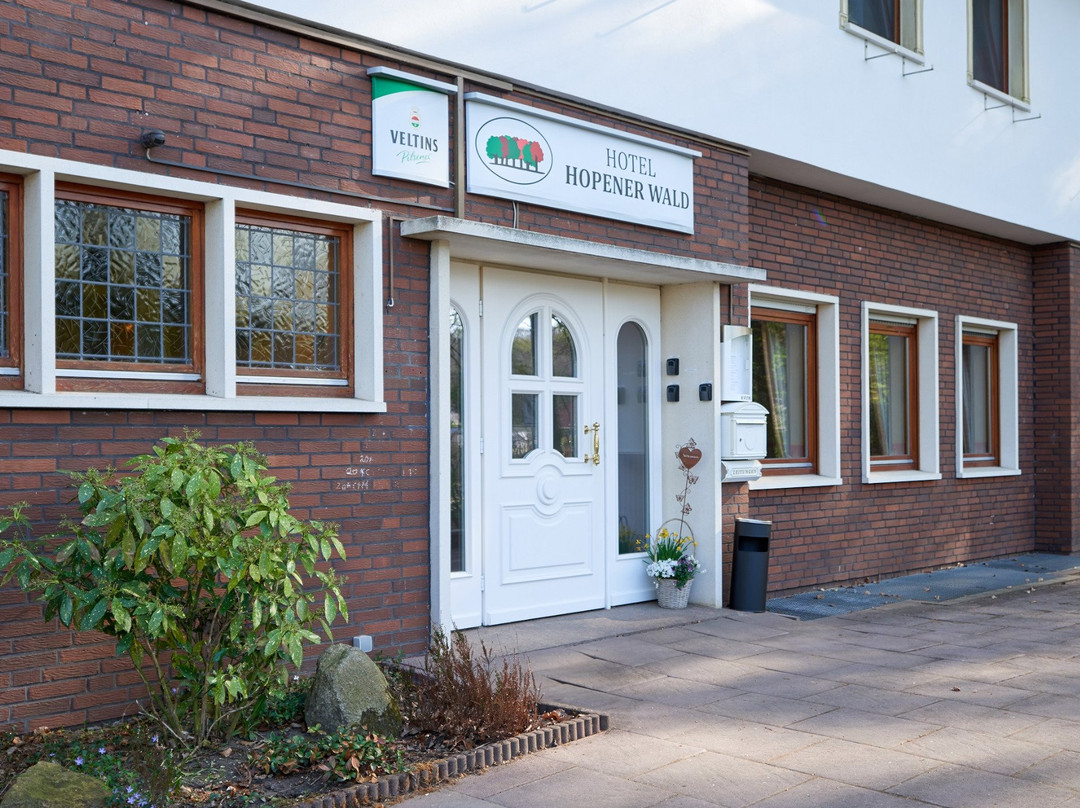 Hotel Hopener Wald主图