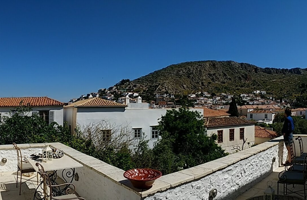 Cotommatae Hydra 1810主图