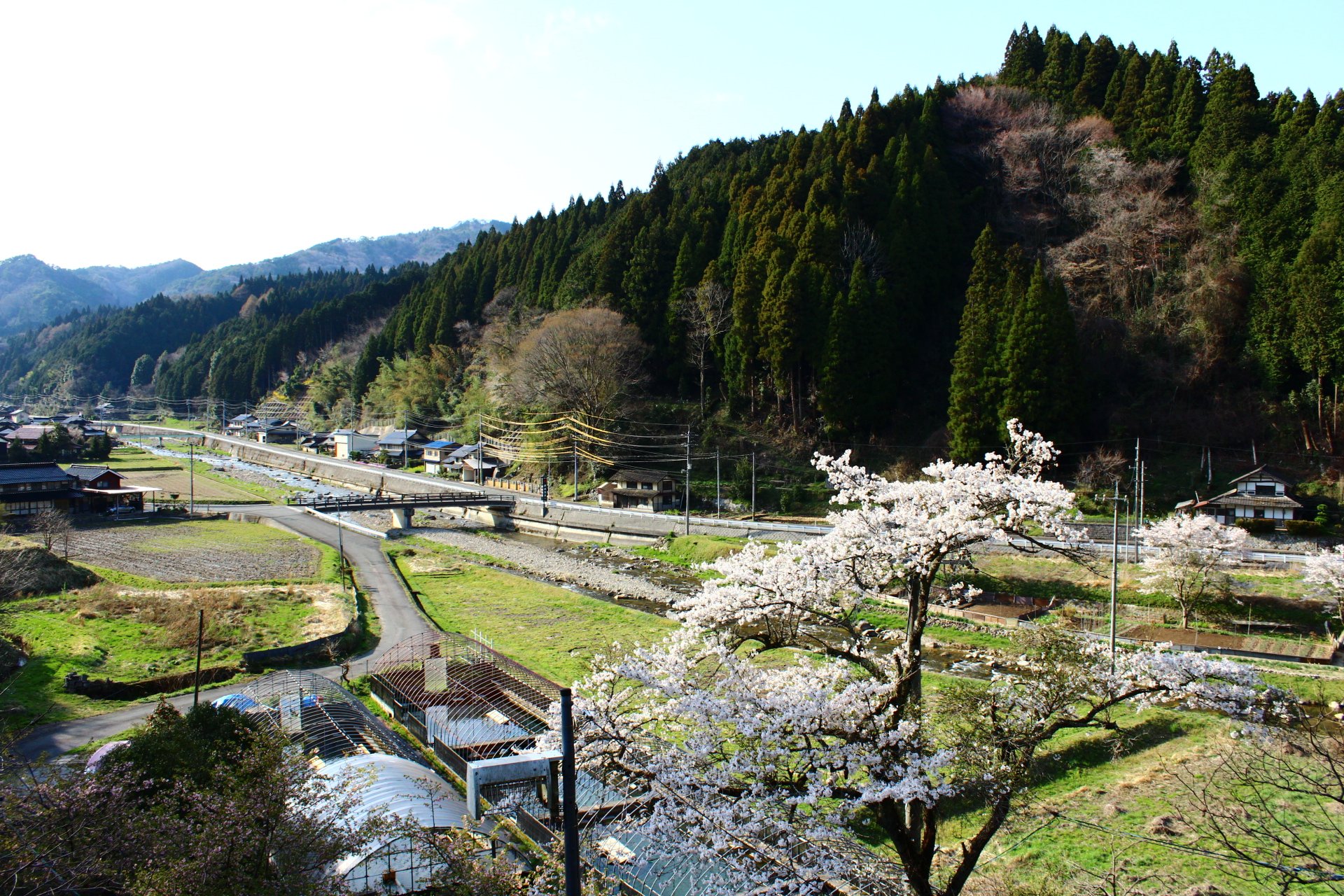 Goroku Onsen-酒店景观