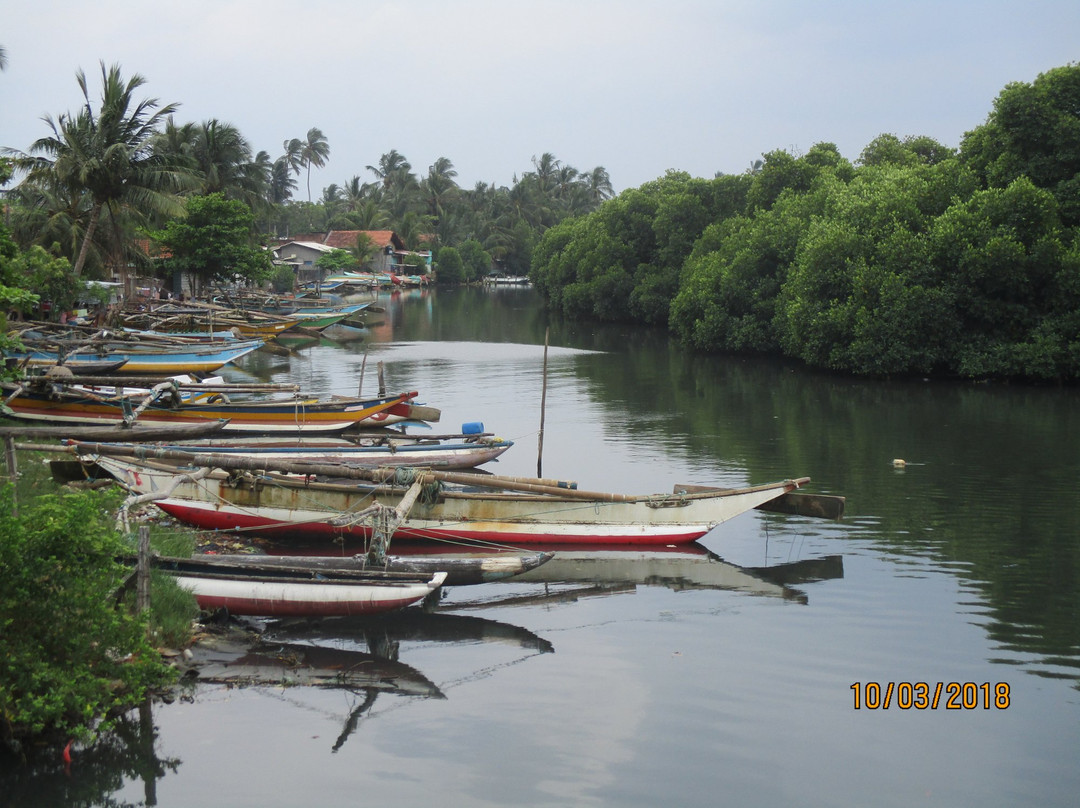 Negombo Lagoon景点图片