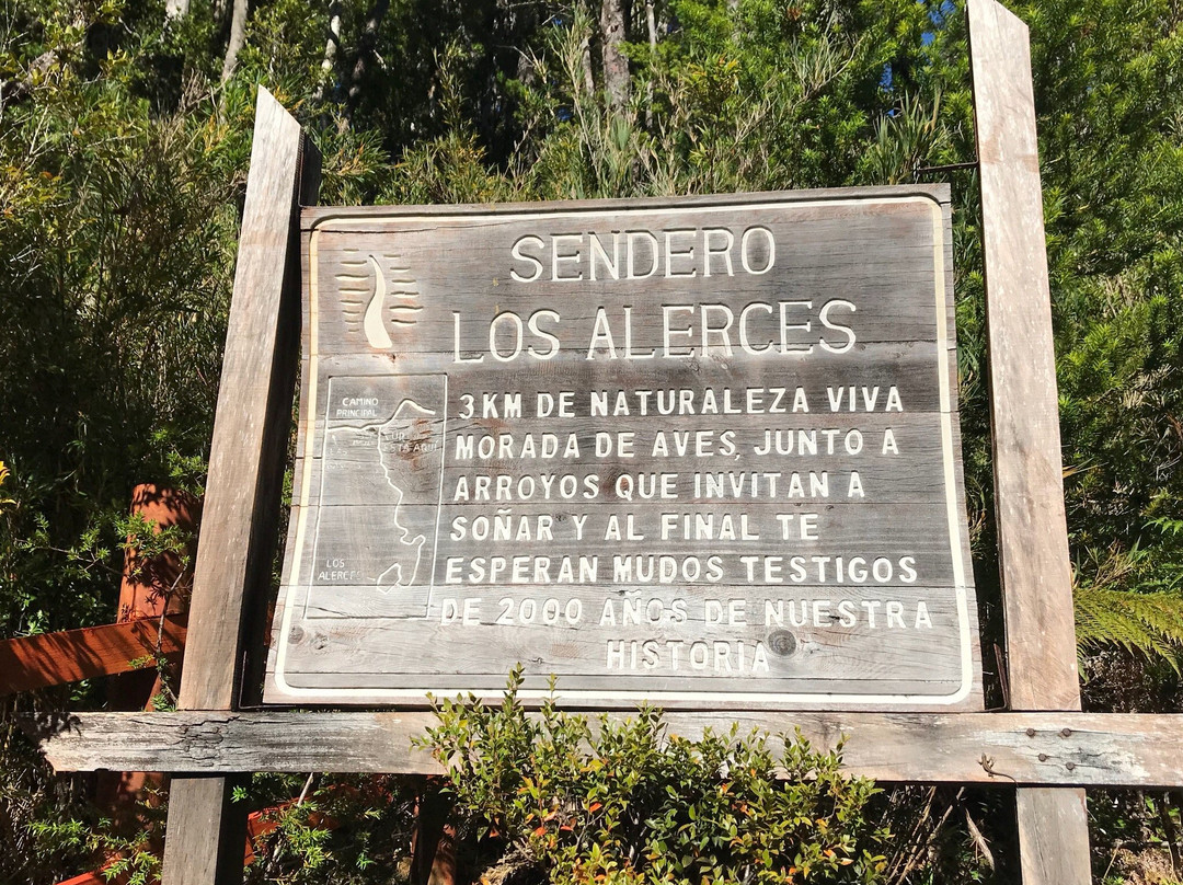 Sendero Los Alerces景点图片