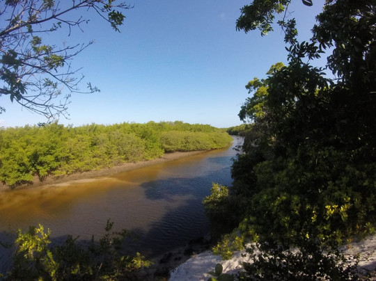 Experiencing Porto-嘎林海斯港必去景点