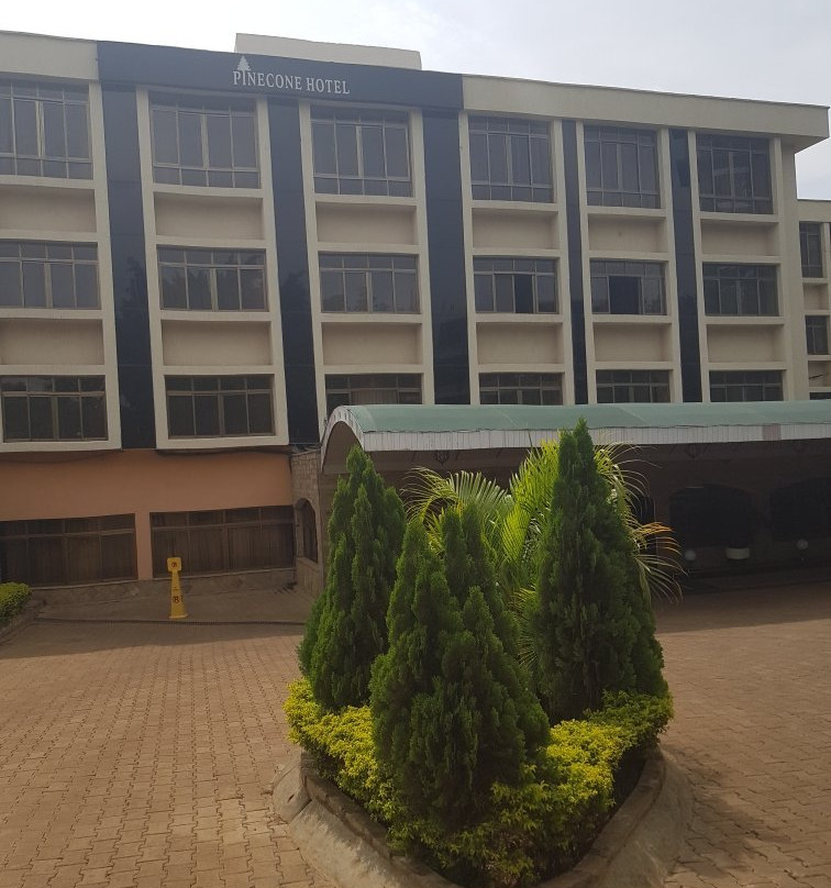 Pinecone Hotel主图