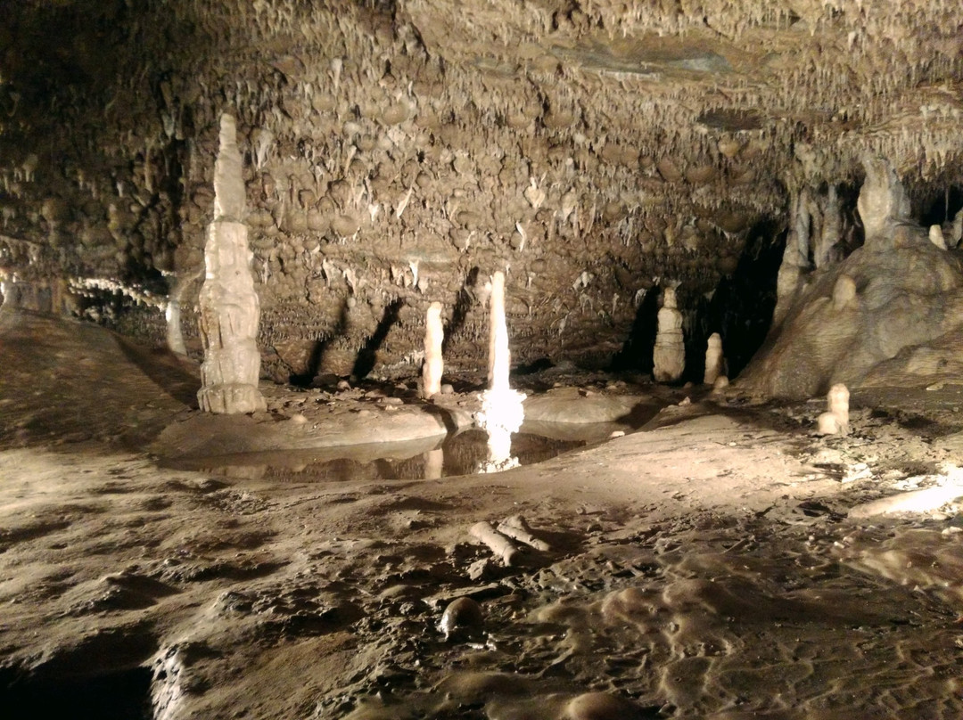 Sloupsko-Sosuvske Cave-Sloup必去景点