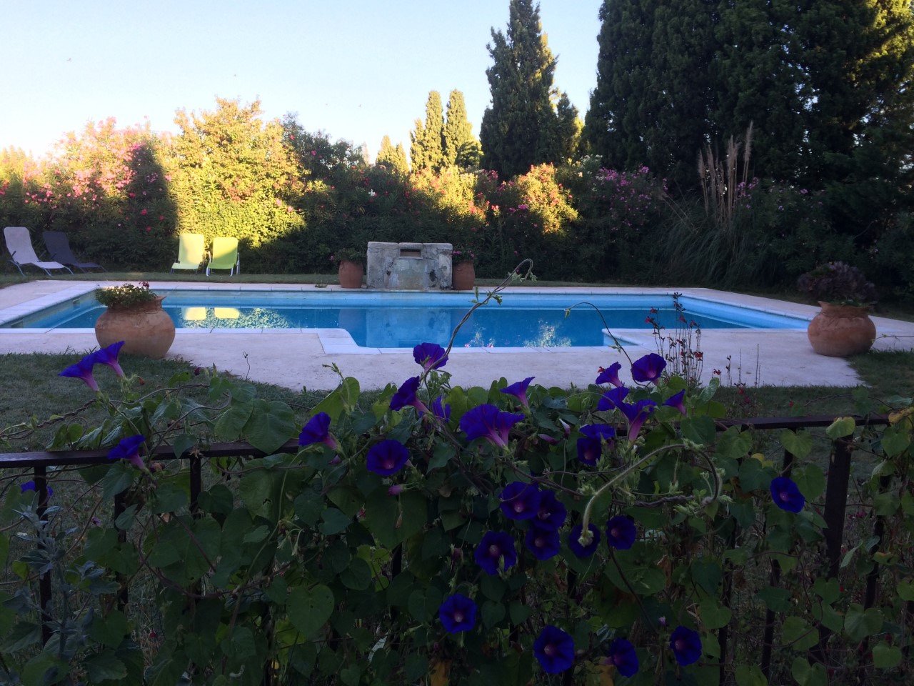 Le Mas de Rey-官方