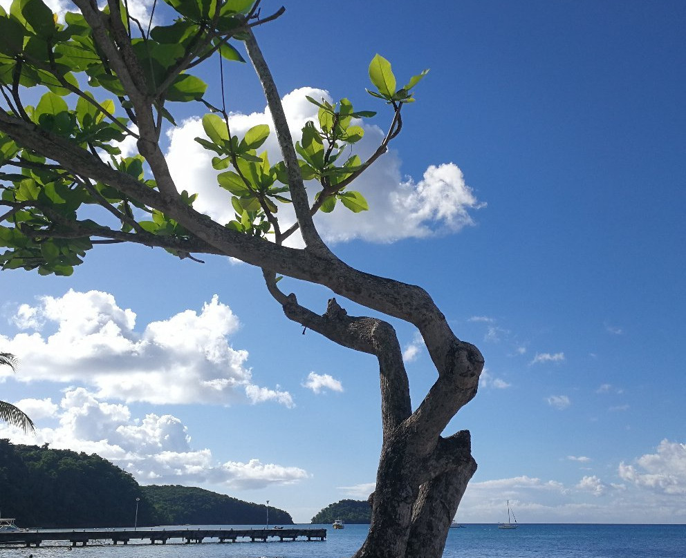 Antilles Excursions-Trois-Ilets必去景点