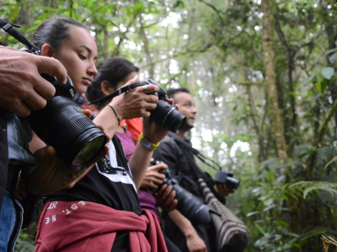 Parque Natural Los Tunos-San Antonio del Tequendama必去景点