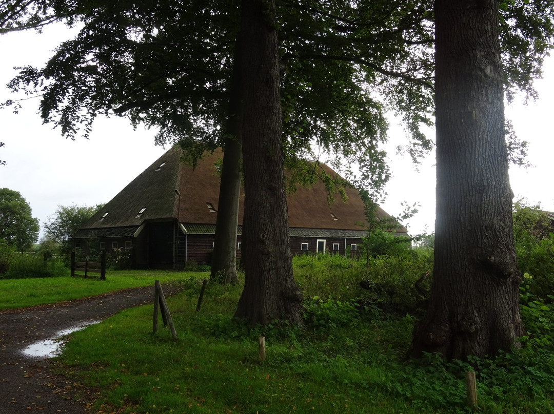Landgoed Nijenburg景点图片