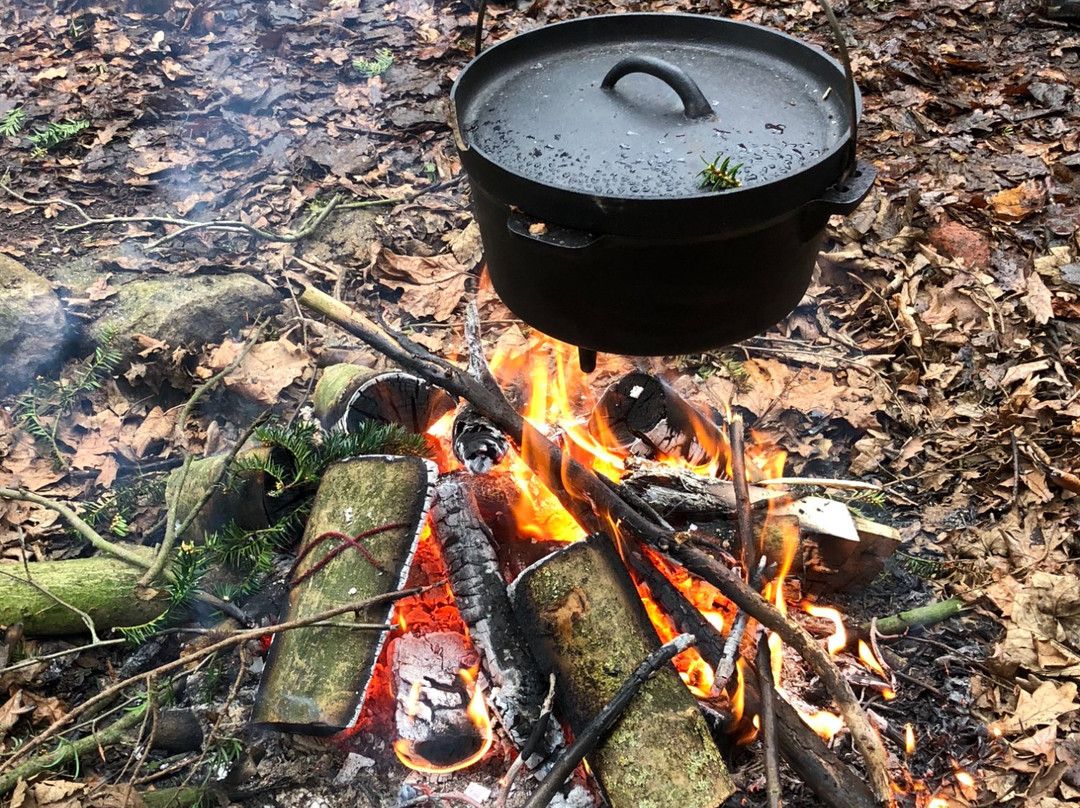Back2Basics Camping景点图片