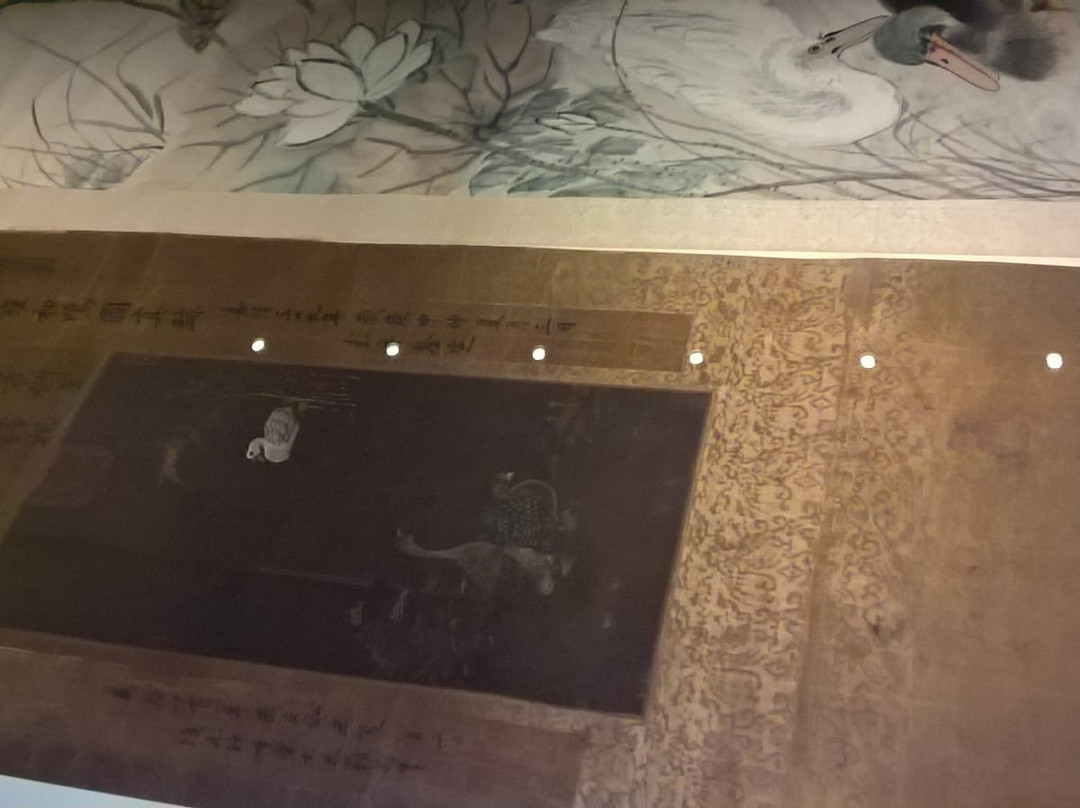 Museo d'Arte Cinese ed Etnografico-帕尔马必去景点