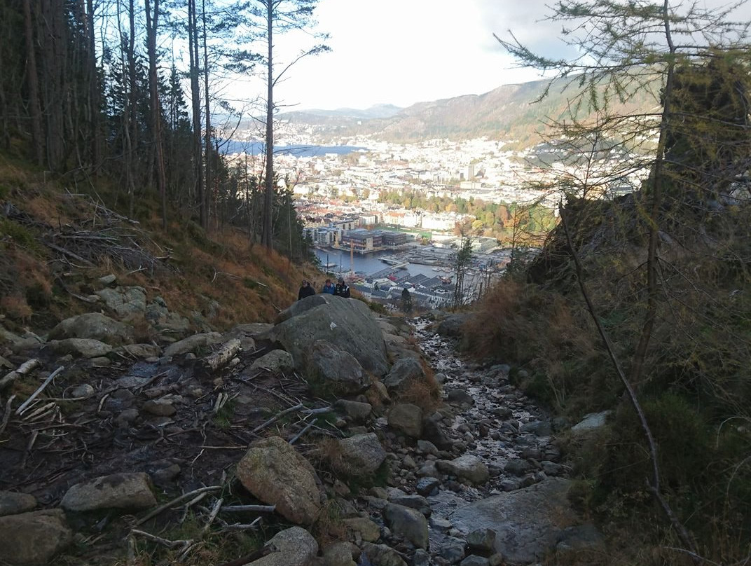 Mount Lovstaken景点图片