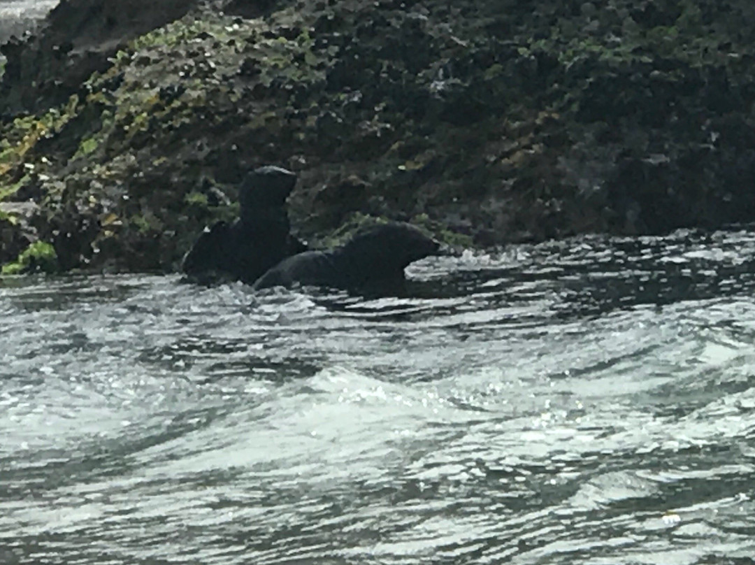 Twin Waters Lodge主图