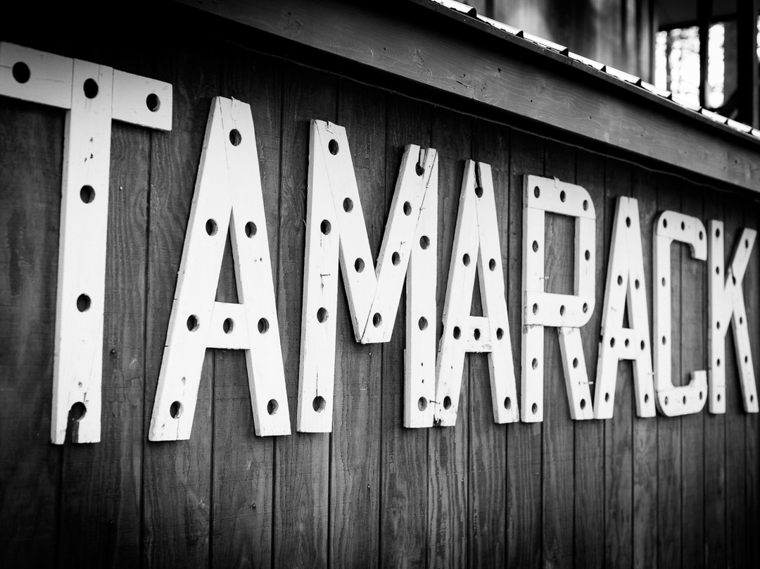 Tamarack Lodge主图