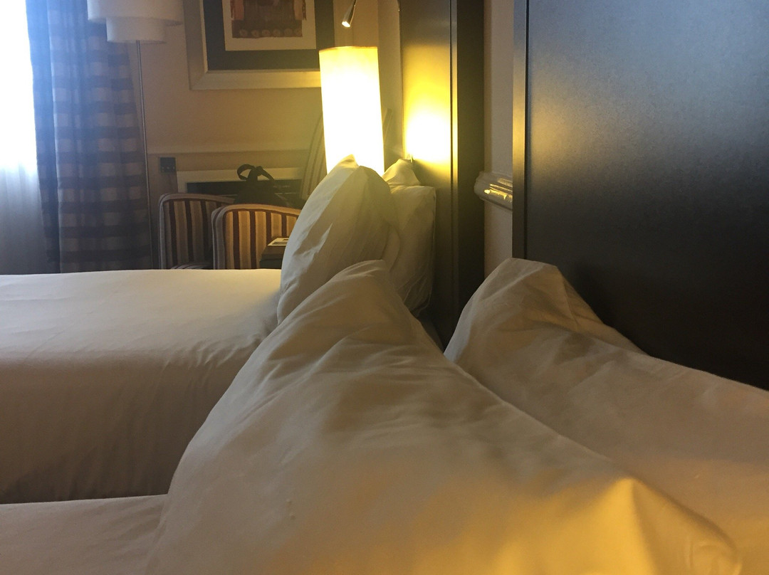 约翰内斯堡兰德堡美居酒店主图