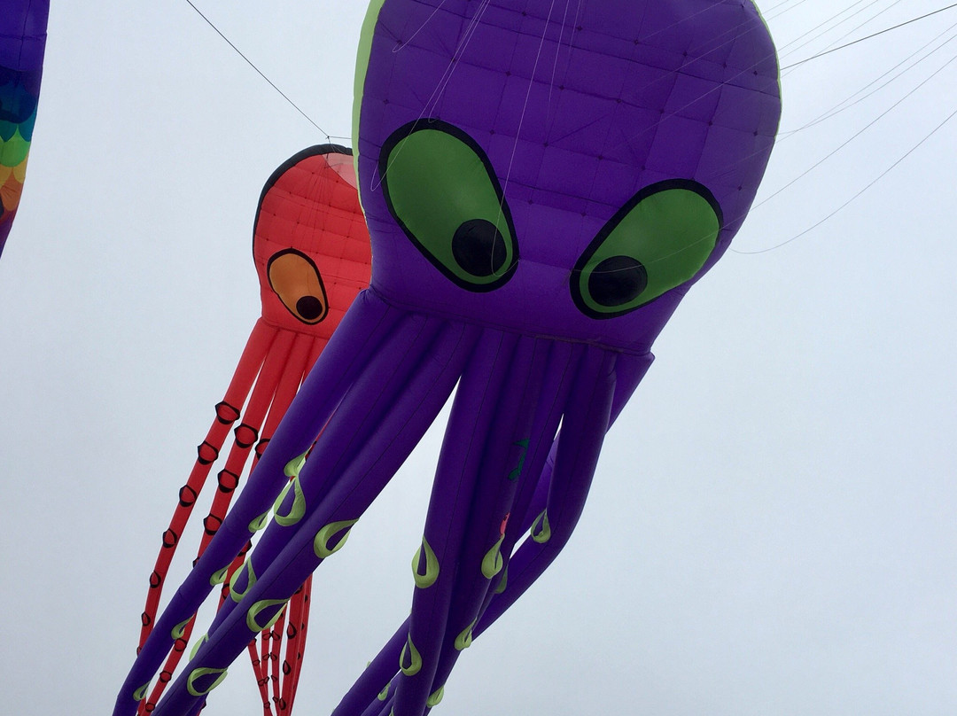 South Padre Island Convention Centre-南帕诸岛必去景点