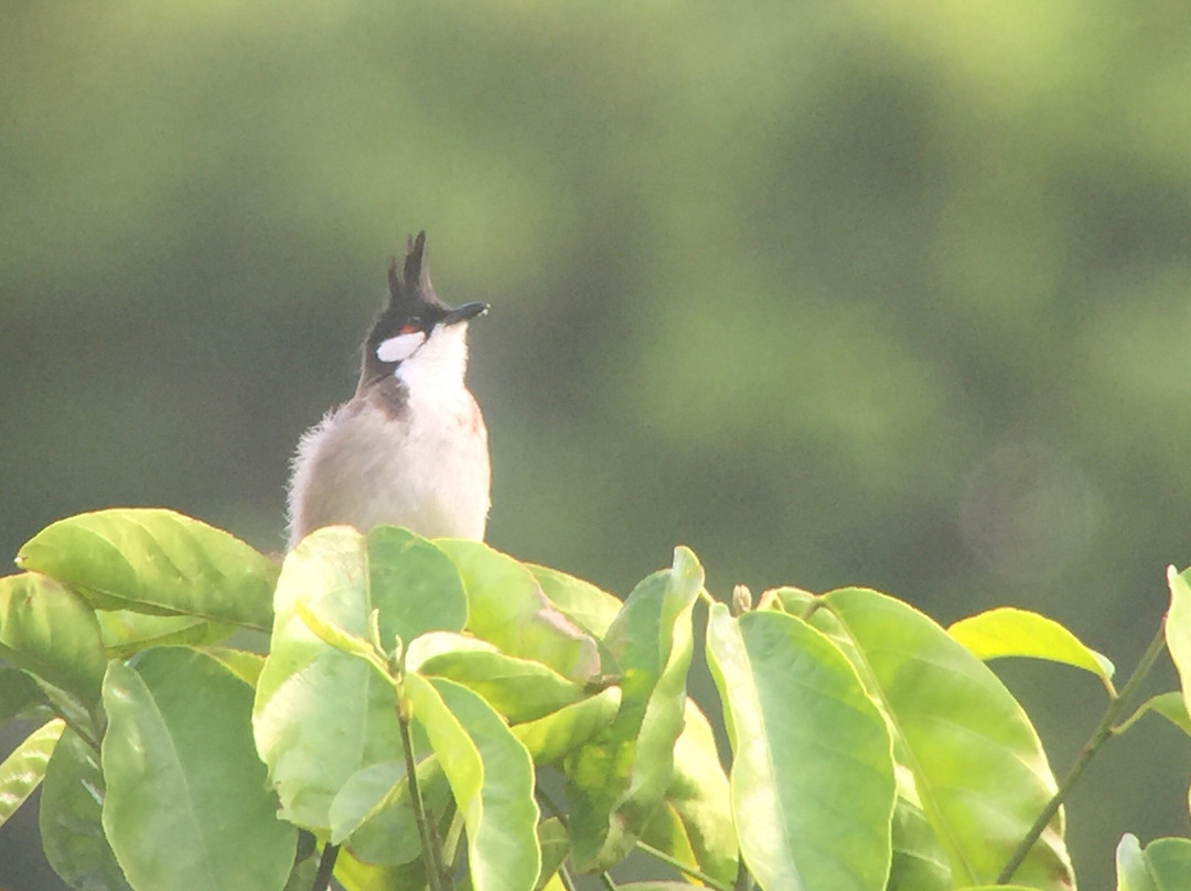 Seima Protection Forest-森莫诺隆必去景点