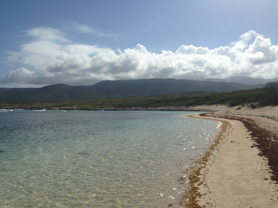 La Caobita Beach-Azua必去景点