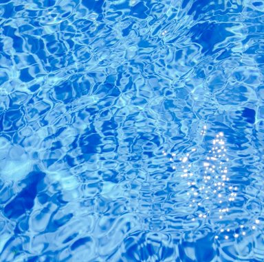 The Fever Tree Guest House-泳池