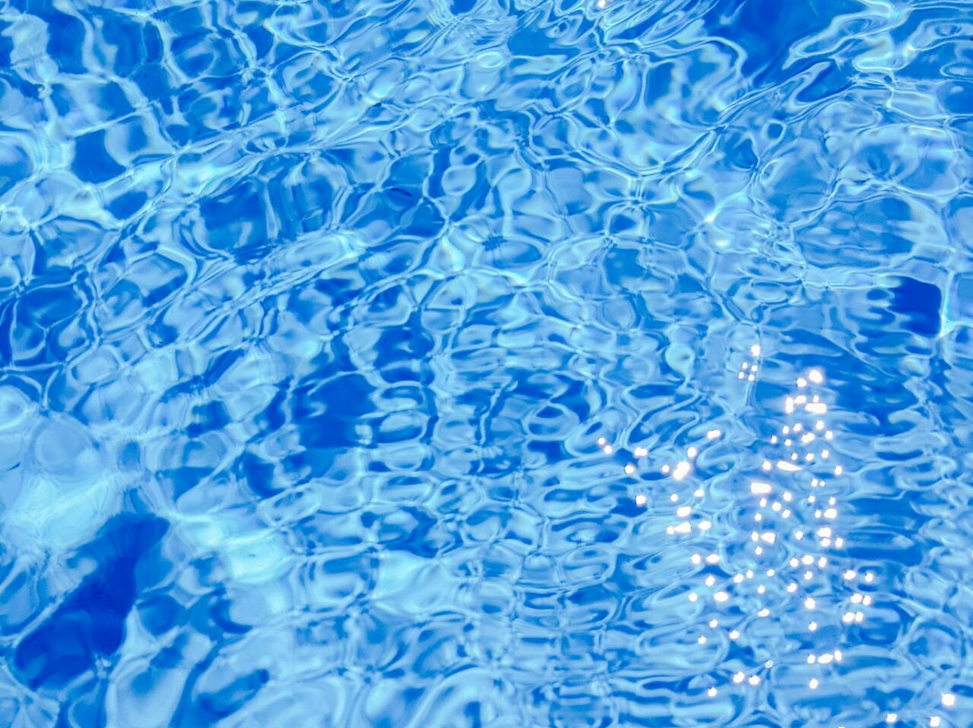 The Fever Tree Guest House主图