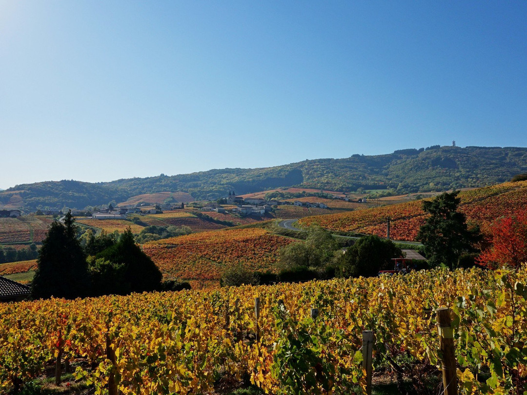 Maison d'Hôtes en Beaujolais主图