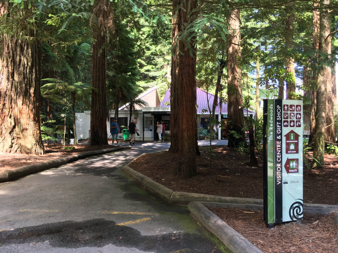 Tītokorangi Redwoods isite Visitor Information Centre (Rotorua)景点图片